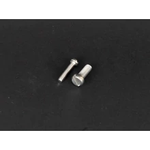 Hengeres fejű egyeneshornyú csavar